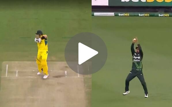 [Watch] Steve Smith Upset As Haris Rauf Executes Perfect Trap To Send Him Packing